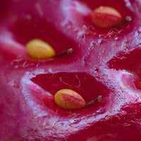 Strawberry Seed Oil